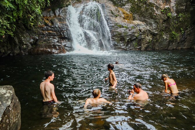 Sinharaja Rainforest Private Half Day Tour With Licensed Guide - Key Points