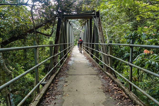 Sinharaja Rainforest Private Half Day Tour With Licensed Guide - Waterfall Baths and Fish Therapy