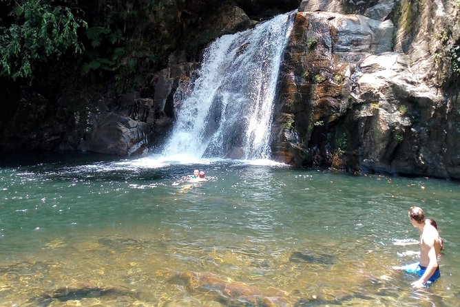Sinharaja Rainforest Tour - Rainforest Entrance Tickets