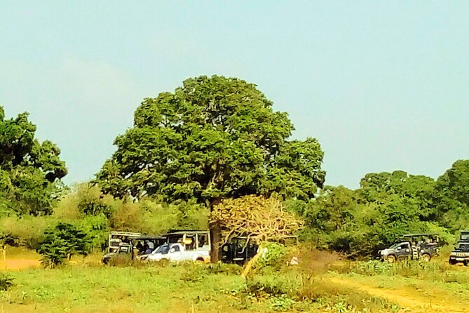 Sinharaja Rainforest & Udawalawe Safari - 2 Days, All Inclusive - Pickup Information