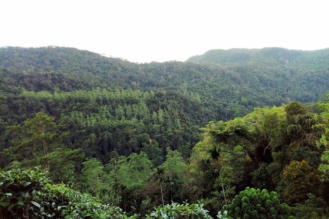Sinharaja Rainforest & Udawalawe Safari - 2 Days, All Inclusive - Additional Details
