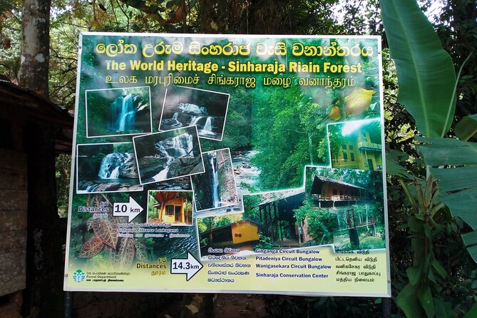 Sinharaja Rainforest & Udawalawe Safari - 2 Days, All Inclusive - Reviews and Pricing