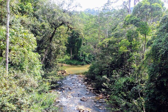Sinharaja Rainforest & Udawalawe Safari - 2 Days, All Inclusive - Booking and Cancellation