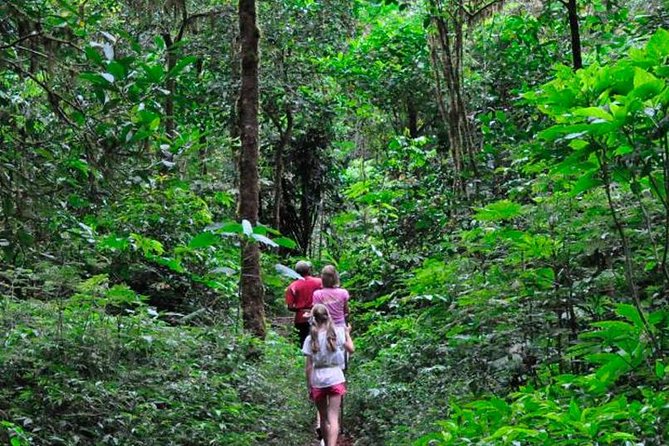 Sinharaja Trekking Trip From Bentota/Kalutara/Hikkaduwa/Galle - Key Points