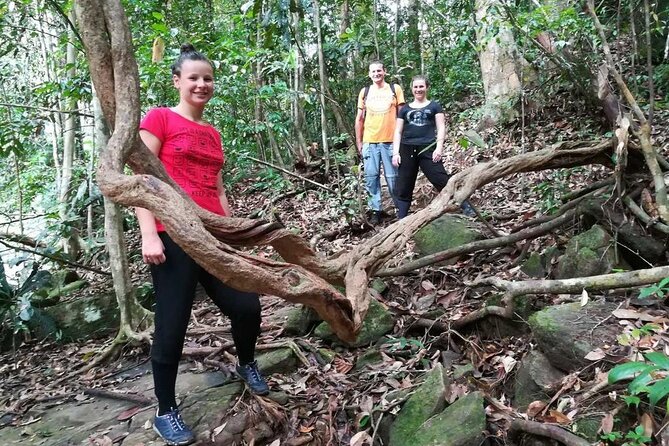 Sinharaja Trekking Trip From Bentota/Kalutara/Hikkaduwa/Galle - Encounter With Rare Wildlife Species