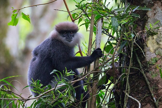 Sinharaja Trekking Trip From Bentota/Kalutara/Hikkaduwa/Galle - Customer Feedback and Experiences