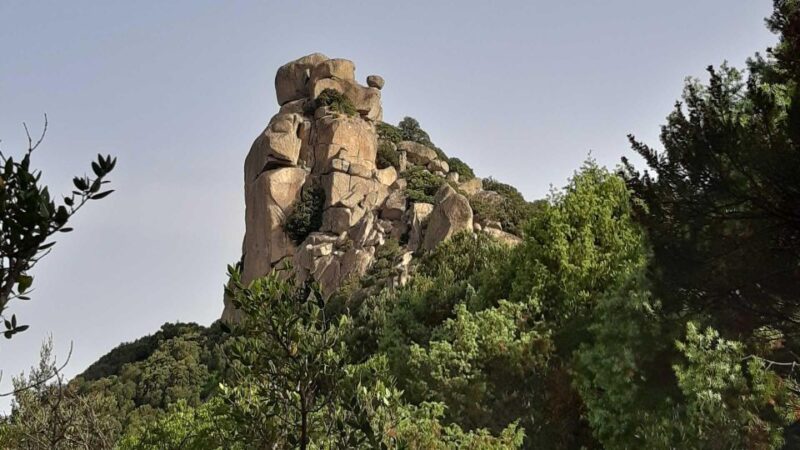 Sinnai: Hiking on the Deers Trail in Sette Fratelli Park - Key Points