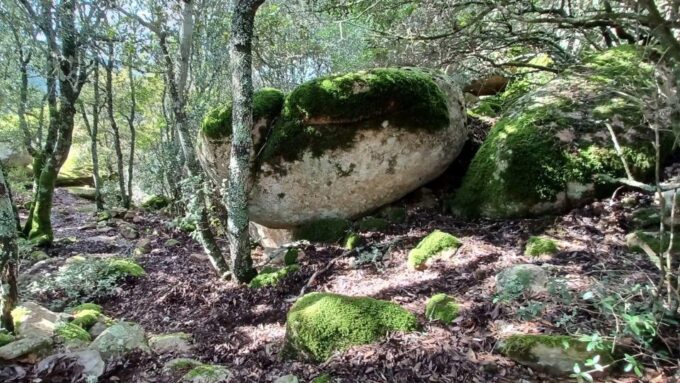Sinnai: Hiking on the Deers Trail in Sette Fratelli Park - Frequently Asked Questions