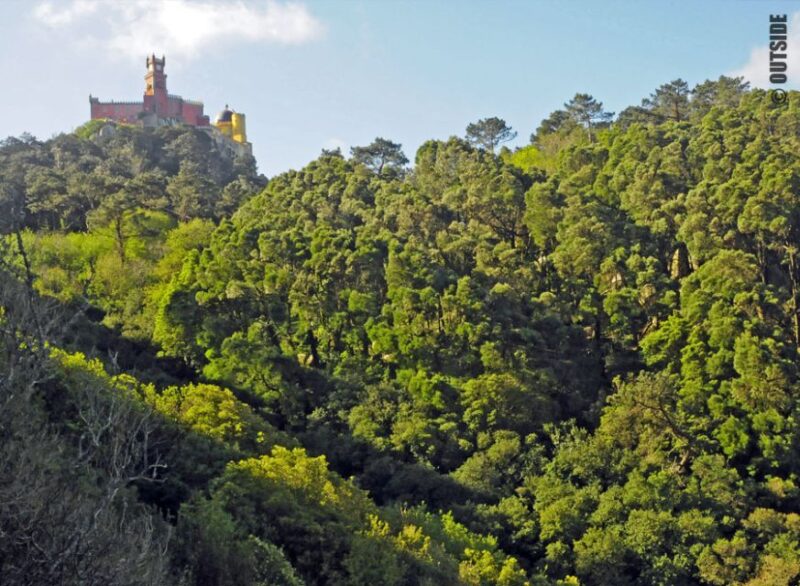Sintra: 3.5-Hour Rock Climbing Experience - Meeting Point and Preparation