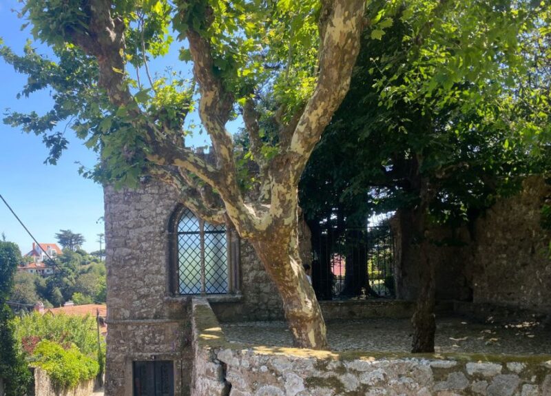 Sintra: Adventure Hike Around Sintras Most Popular Castles - Experience Details