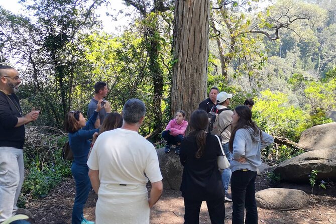 Sintra ALL PALACES - Small Groups (2-6pax) PRIVATE TOUR - Meeting and Pickup