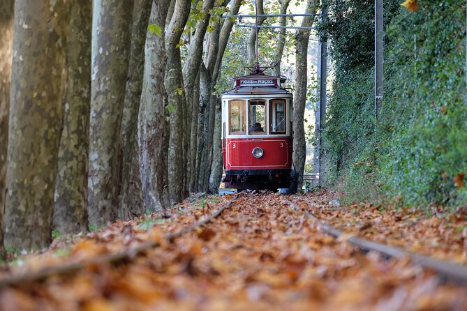 Sintra and Cascais Small Group Full-Day Tour From Lisbon - Included Offerings