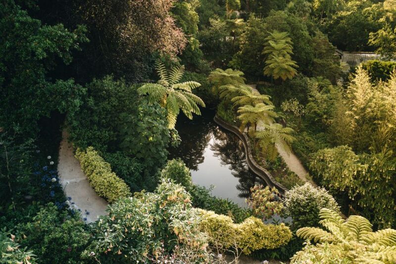 Sintra: Biester Palace and Park Guided Tour - Landscape and Gardens