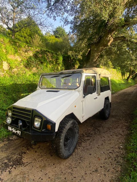 Sintra Born&Raised Tours Driven by Locals - Local Insights and Amenities