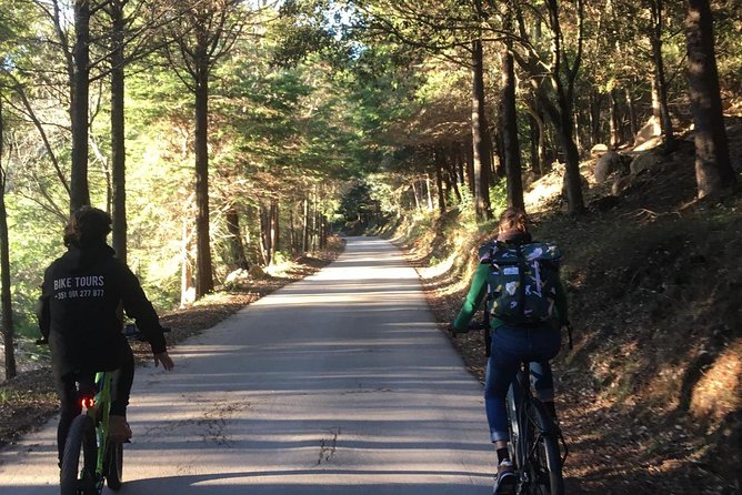 Sintra & Cascais E-Bike Guided Tour - Group Size and Booking