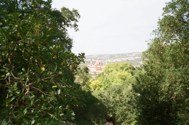 Sintra: Full Day Guided Tours by Van With Local Guide - Itinerary Highlights
