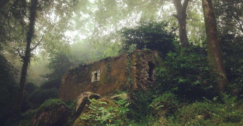 Sintra Guided Visit: Life and Death at the Capuchos Convent - Devil Visitations