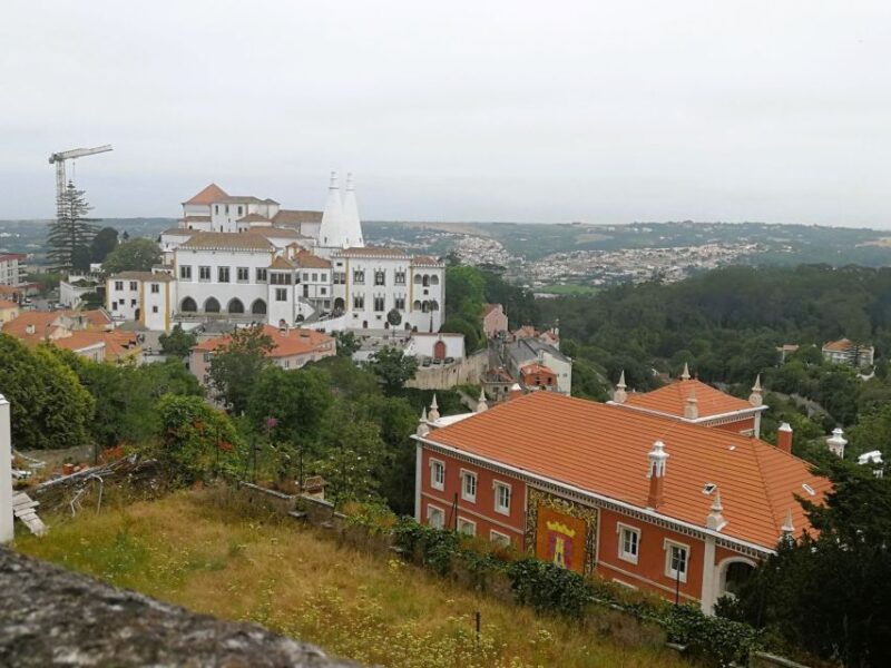 Sintra Half Day Private Tour Pena Palace & Initiantion Well - Customer Feedback