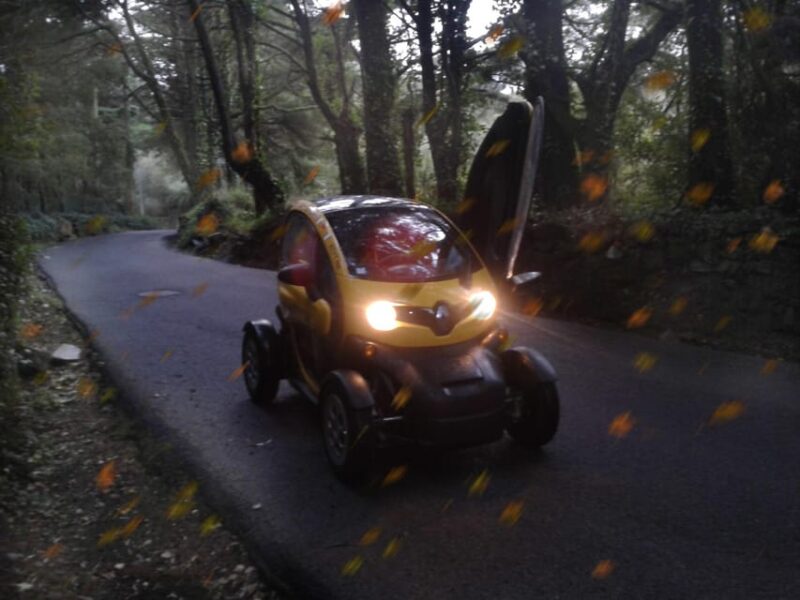 Sintra: Heritage, Gardens & Nature Tour E-Car GPS AudioGuide - Key Points