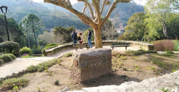 Sintra: Hidden Gems Guided Walking Tour - Frequently Asked Questions