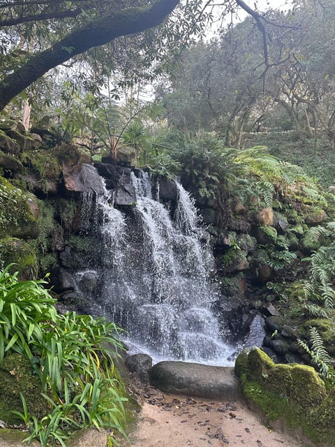 Sintra: Highlights Tour, Coastline and Cascais Group Tour - Participant Restrictions