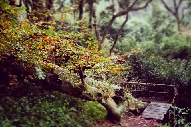 Sintra, Kingdom of Love" - Private Day Walk - Terrain and Weather Conditions