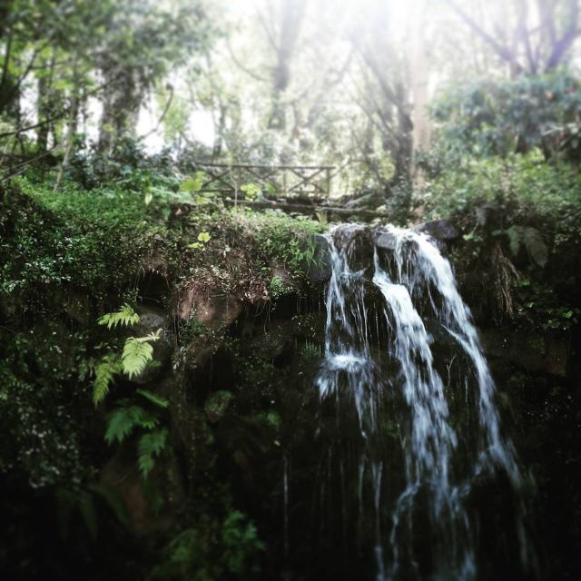 Sintra: Kingdom of Love Private Walking Tour With Historian - Tour Experience and Highlights