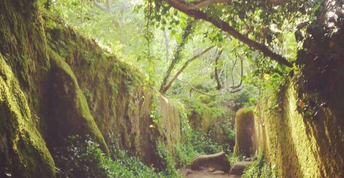 Sintra: Kingdom of Love Private Walking Tour With Historian - Stunning Landscapes and Monuments