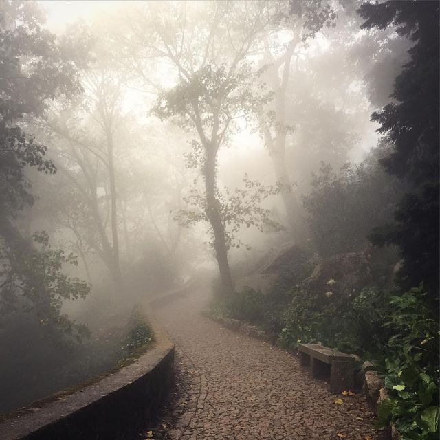 Sintra: Legends and Medieval Stories Private Walking Tour - Experience Highlights