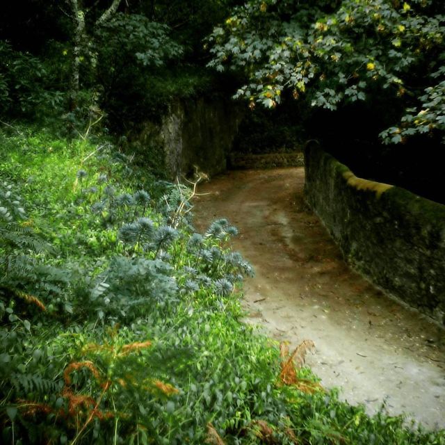 Sintra: Legends and Medieval Stories Private Walking Tour - Customer Feedback