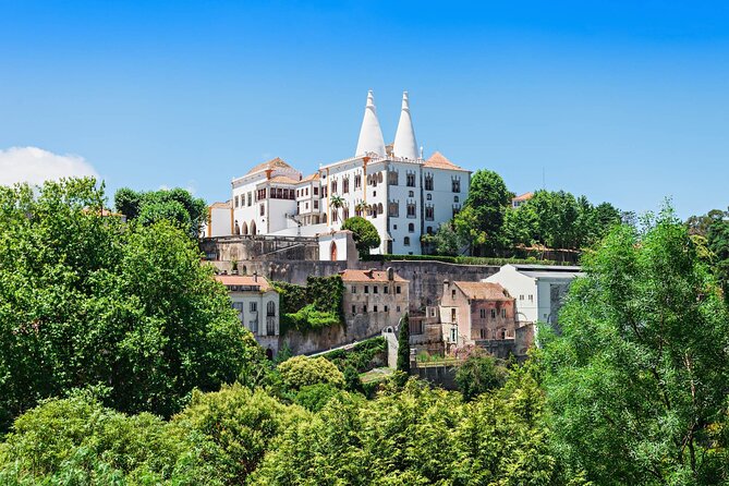 Sintra National Palace E-Ticket With Audio Guide - Accessibility and Participation
