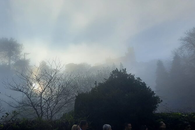 Sintra Palaces and Forest Private Tour - Traveler Photos