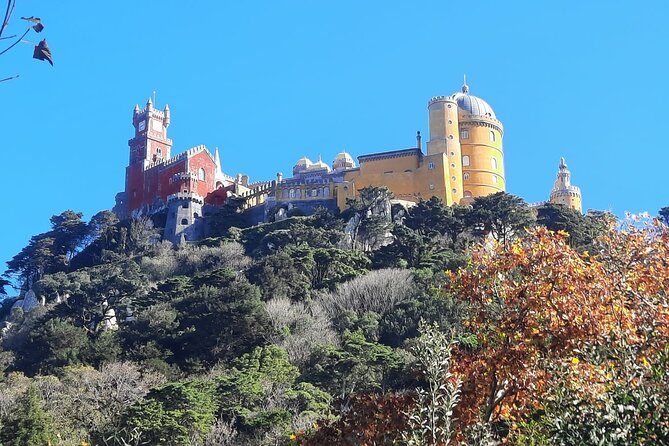 Sintra Palaces and Forest Private Tour - About the Operator