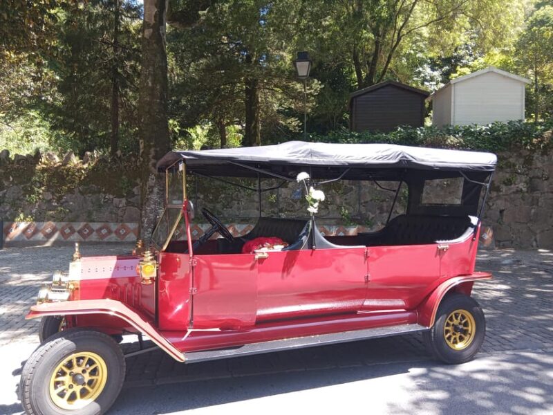 Sintra Palaces Private TukTuk (Pena+Castle of The Moors+etc) - Vehicle and Experience