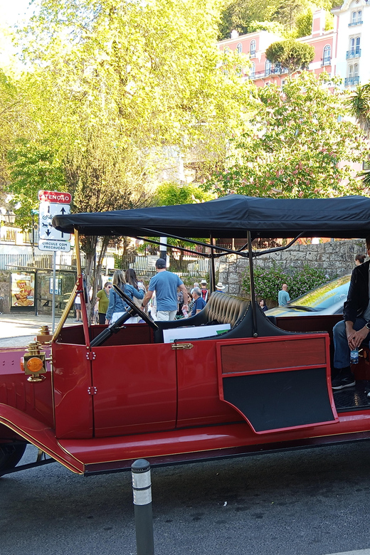 Sintra Palaces Private TukTuk (Pena+Castle of The Moors+etc) - Customer Feedback