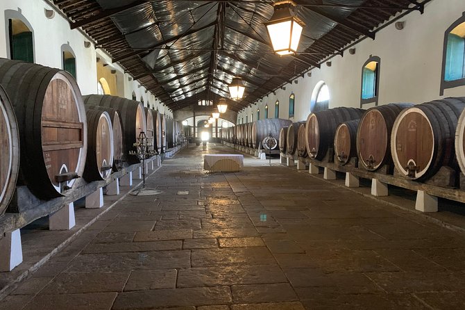 Sintra, Pena Palace and Full Day Wine Tasting - Pricing Information and Payment Options