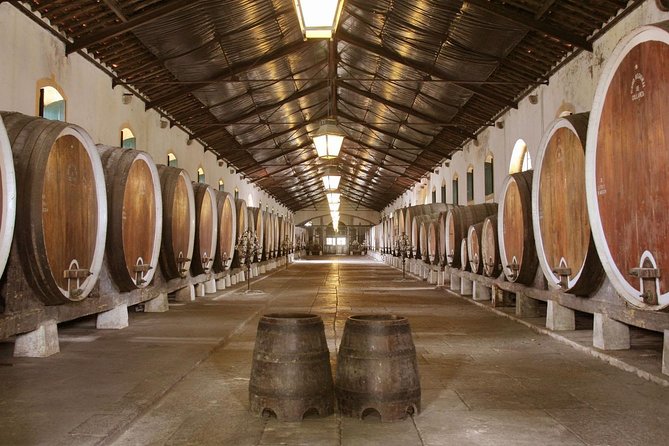 Sintra, Pena Palace and Full Day Wine Tasting - Applicable Terms and Conditions