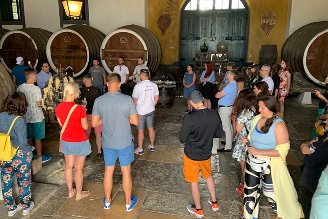 Sintra, Pena Palace and Full Day Wine Tasting - Booking Confirmation and Age Restrictions