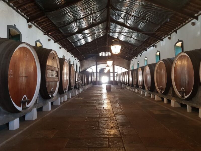 Sintra : Pena Palace Experience & Wine - Detailed Itinerary