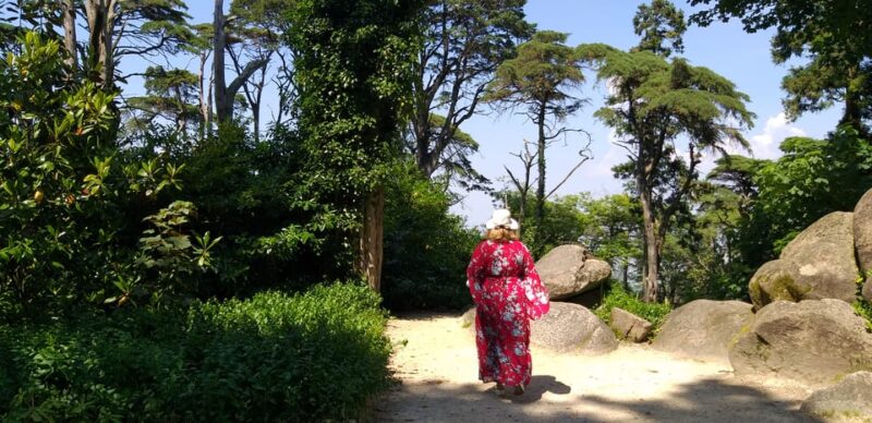 Sintra: Pena Palace Guided Tour - Activity and Pricing
