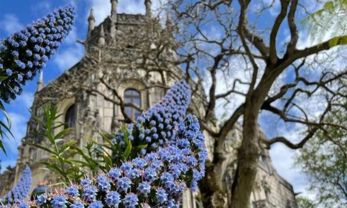 Sintra, Pena Palace & Regaleira Pick-Up From Lisbon - Departure and Return
