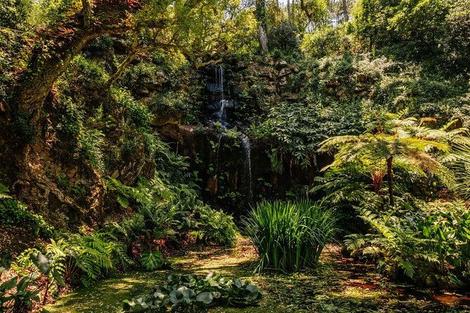 Sintra Pena Park and Palace Skip The Line Ticket - Transportation and Accessibility