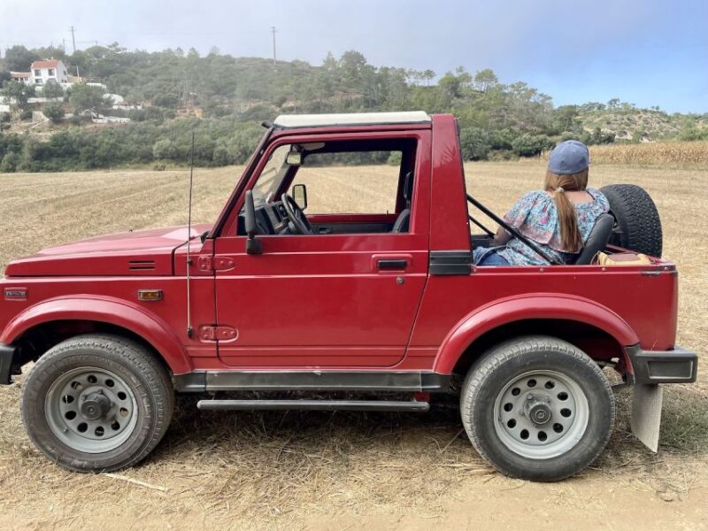 Sintra: Private Full-Day Sintra, Roca, and Cascais 4x4 Tour - Customer Reviews