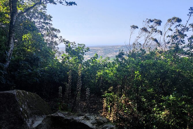 Sintra Private Hiking Adventure Tour - Scenic Viewpoints