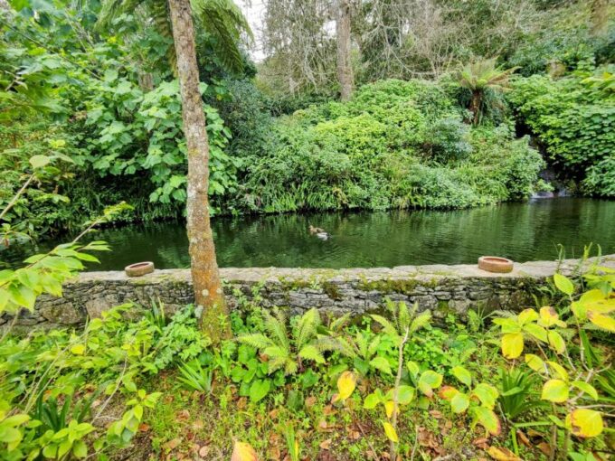 Sintra Private Tour: Regaleira and Biester Palace - Culinary Experience