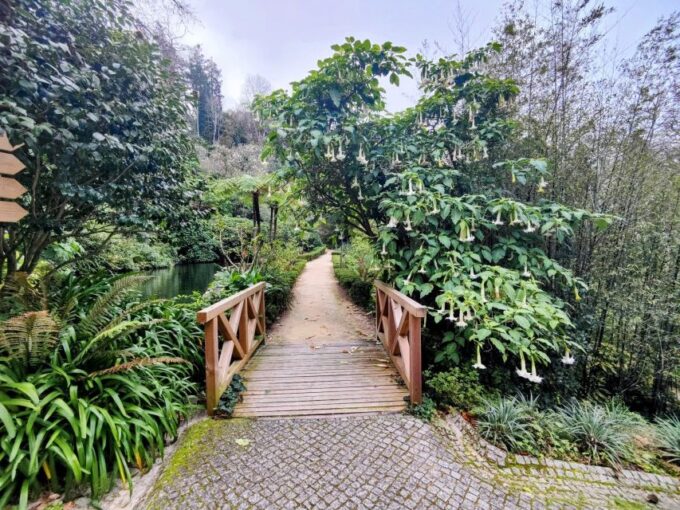 Sintra Private Tour: Regaleira and Biester Palace - Quinta Da Regaleira