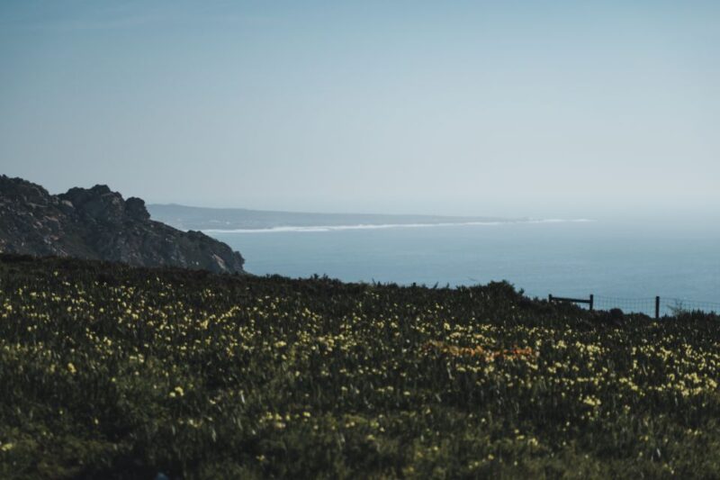 Sintra: Regaleira, Cabo Da Roca and Cascais Jeep Safari Tour - Cancellation Policy