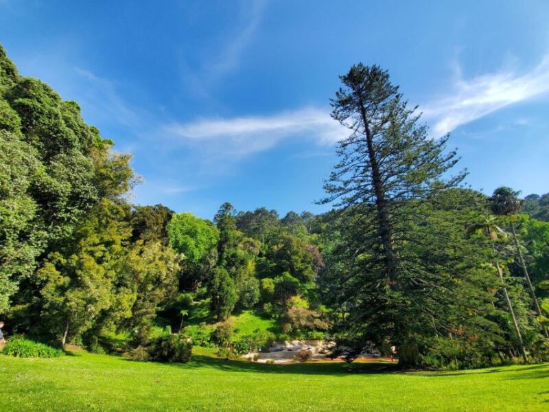 Sintra: Self-Driven Trip With Route-Planning Support - Included Services and Assistance