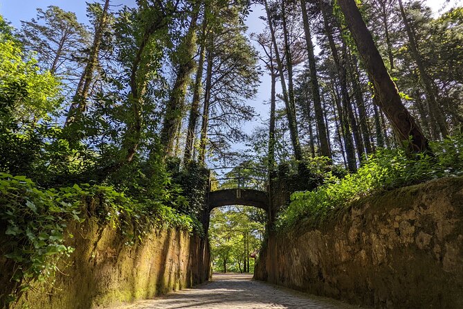 Sintra Small Group Tour From Lisbon: Pena Palace Ticket Included - Westernmost Point of Europe