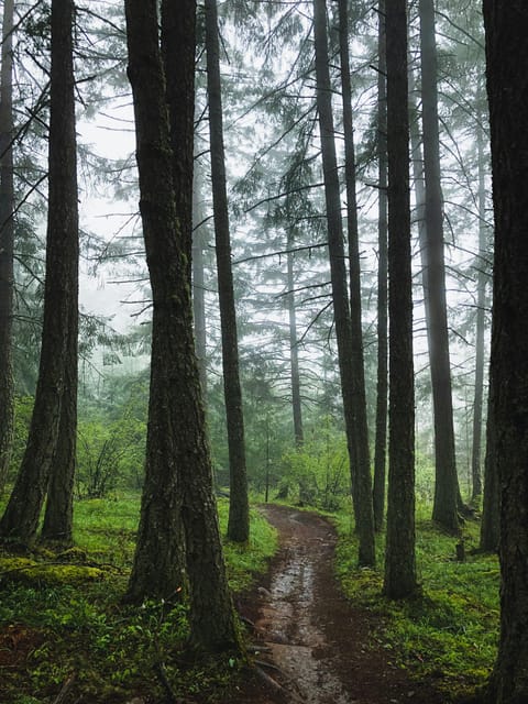 Sintra Trails Adventure: Monserrate, Capuchos & Cabo Da Roca - Pickup Options